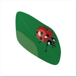 Ladybug walking on a leaf Posters and Art